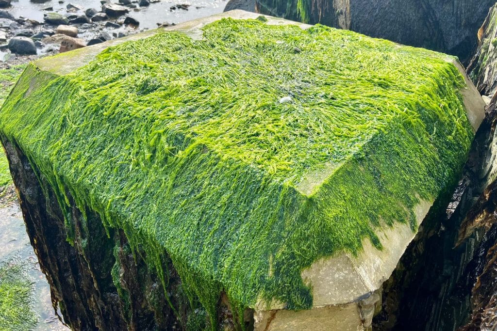 Eco Rock Armour